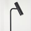 Lampadaire Dalheim LED Noir, 1 lumière