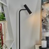 Lampadaire Dalheim LED Noir, 1 lumière