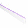 Suspension Philips Hue White & Colour Ambiance Ensis LED Blanc, 2 lumières, Changeur de couleurs