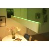 Suspension Philips Hue White & Colour Ambiance Ensis LED Blanc, 2 lumières, Changeur de couleurs