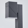 Borne lumineuse  Toogong LED Anthracite, 1 lumière