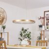 Suspension  Charata LED Laiton, 1 lumière