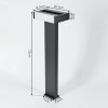 Borne lumineuse  Ramalheira LED Anthracite, 1 lumière