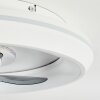 Ventilateur de plafond  Tirkkala LED, 1 lumière