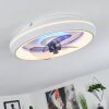 Ventilateur de plafond  Tirkkala LED Blanc, 1 lumière