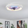 Ventilateur de plafond  Tirkkala LED Blanc, 1 lumière