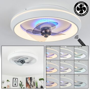 Ventilateur de plafond  Tirkkala LED, 1 lumière