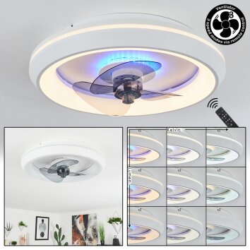 Ventilateur de plafond  Tirkkala LED Blanc, 1 lumière