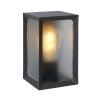 Applique murale d'extérieur Lucide CAGE LED Anthracite, 1 lumière