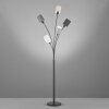 Lampadaire Fischer & Honsel Koi Noir, 5 lumières