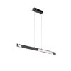 Suspension Fischer & Honsel Bridge LED Noir, 1 lumière