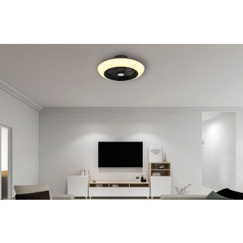 Ventilateur de plafond Globo LAFEE LED Noir, 1 lumière
