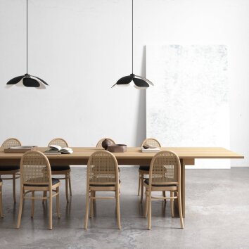 Suspension Design For The People by Nordlux MAPLE Noir, 1 lumière