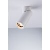 Plafonnier Luce-Design GENESIS-R6, 1 lumière