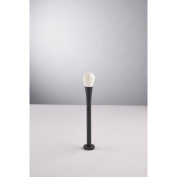 Borne lumineuse Luce Design DROP Anthracite, 1 lumière Borne lumineuse Luce Design DROP Anthracite, 1 lumière