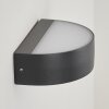 Applique murale d'extérieur  Fletcher LED Anthracite, 2 lumières