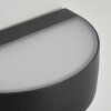 Applique murale d'extérieur  Fletcher LED Anthracite, 2 lumières