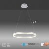 Suspension Paul-Neuhaus TITUS LED Blanc, 1 lumière