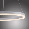 Suspension Paul-Neuhaus TITUS LED Blanc, 1 lumière