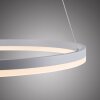 Suspension Paul-Neuhaus TITUS LED Blanc, 1 lumière