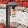 Borne lumineuse  Radnor Anthracite, 1 lumière