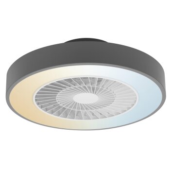 Ventilateur de plafond LEDVANCE Smart Gris, 1 lumière, Télécommandes