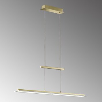 Suspension Fischer & Honsel  Tenso TW LED Laiton, 1 lumière