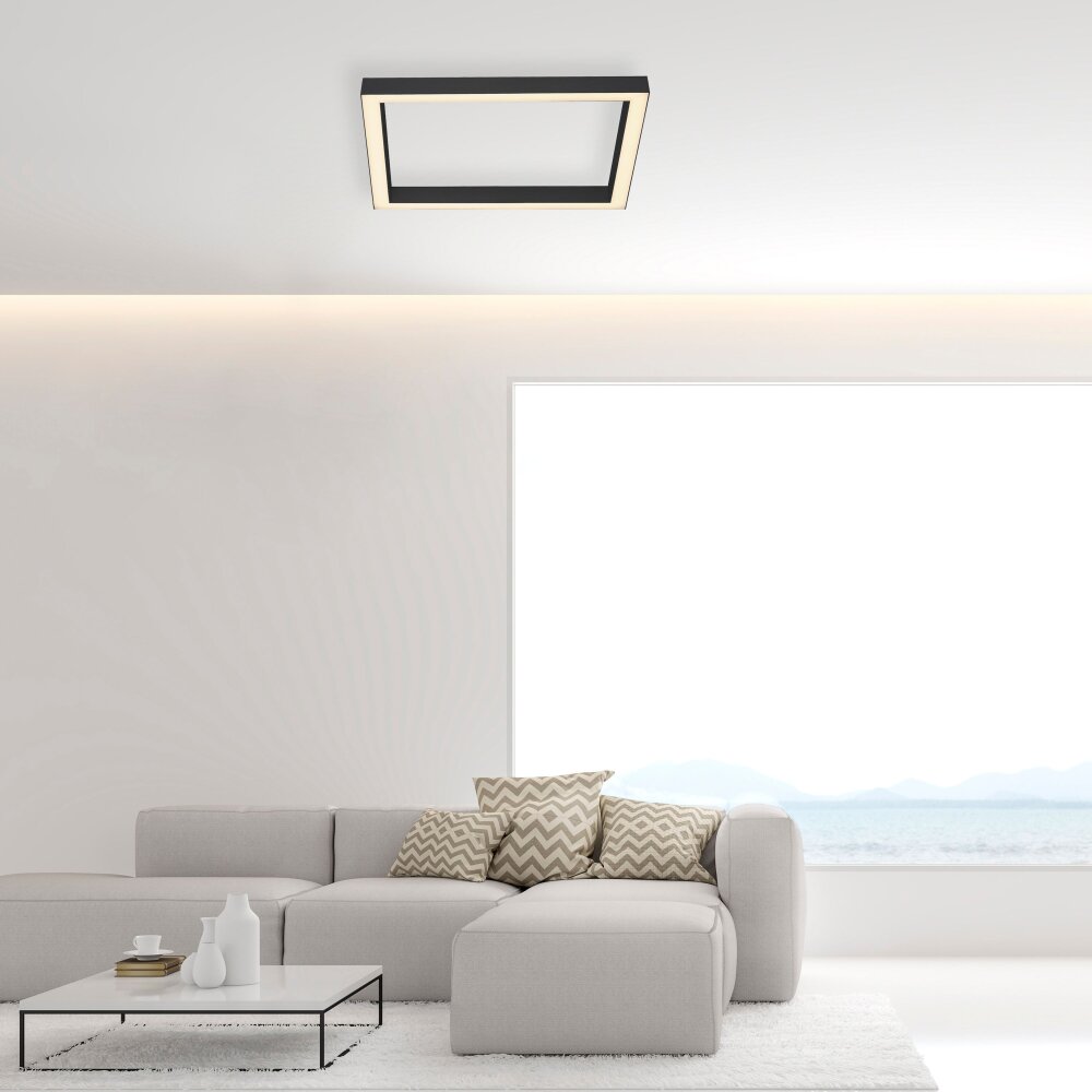 Plafonnier Paul-Neuhaus PURE-LINES LED Anthracite, 1 lumière, Télécommandes main product photo
