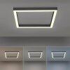 Plafonnier Paul-Neuhaus PURE-LINES LED Anthracite, 1 lumière, Télécommandes