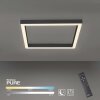 Plafonnier Paul-Neuhaus PURE-LINES LED Anthracite, 1 lumière, Télécommandes