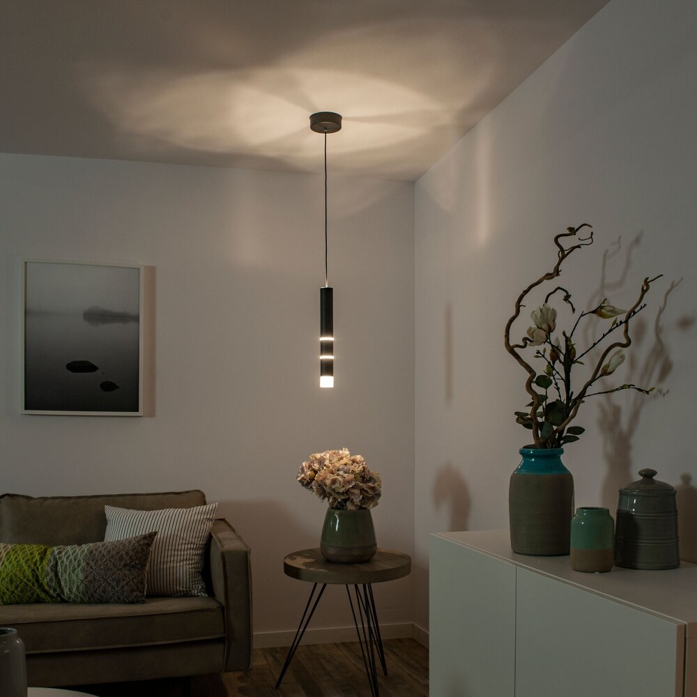 Suspension Paul-Neuhaus PURE-VEGA LED Noir, 3 lumières main product photo