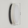 Applique murale d'extérieur  Centinela LED Anthracite, Blanc, 1 lumière