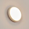 Applique murale d'extérieur  Centinela LED Anthracite, Blanc, 1 lumière