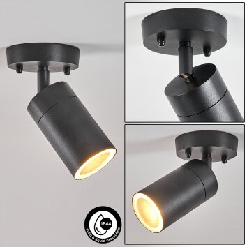 Plafonnier extérieur led connecté Neuhaus Q-Lenny Gris anthracite