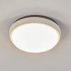 plafonnier extérieur  Centinela LED Anthracite, Blanc, 1 lumière