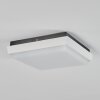 plafonnier extérieur  Gomero LED Anthracite, Blanc, 1 lumière