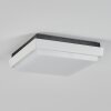 plafonnier extérieur  Gomero LED Anthracite, Blanc, 1 lumière