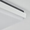 plafonnier extérieur  Gomero LED Anthracite, Blanc, 1 lumière
