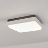 plafonnier extérieur  Gomero LED Anthracite, Blanc, 1 lumière