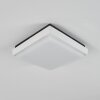 plafonnier extérieur  Gomero LED Anthracite, Blanc, 1 lumière