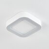 plafonnier extérieur  Paleroo LED Blanc, 1 lumière