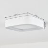 plafonnier extérieur  Paleroo LED Blanc, 1 lumière