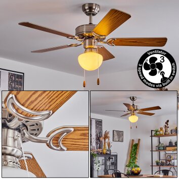 Ventilateur de plafond  Apiao Brun, Couleur bois, Argenté, 1 lumière