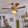 Ventilateur de plafond  Apiao Brun, Brun clair, Couleur bois, Argenté, 1 lumière