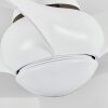 Ventilateur de plafond  Malloa LED Blanc, 1 lumière, Télécommandes