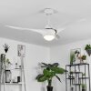 Ventilateur de plafond  Malloa LED Blanc, 1 lumière, Télécommandes