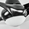 Ventilateur de plafond  Malloa LED Noir, 1 lumière, Télécommandes