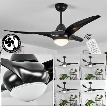 Ventilateur de plafond  Malloa LED Noir, 1 lumière, Télécommandes