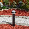 Borne lumineuse  Vinara LED Noir, 1 lumière