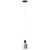 Suspension Brilliant Carlson LED Noir, 1 lumière